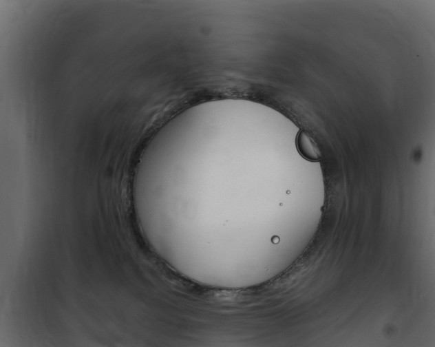 X0000102480088200808081043