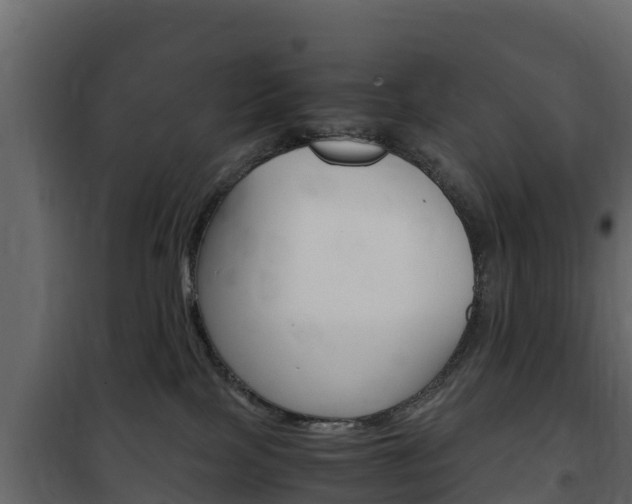 X0000102480089200808081043