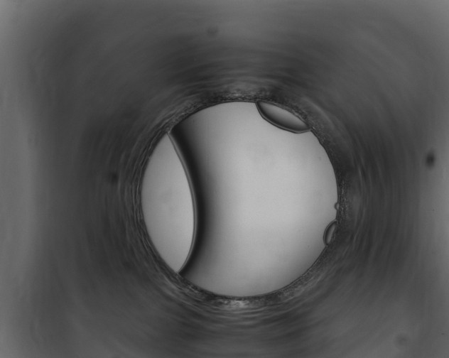 X0000102480091200808081043