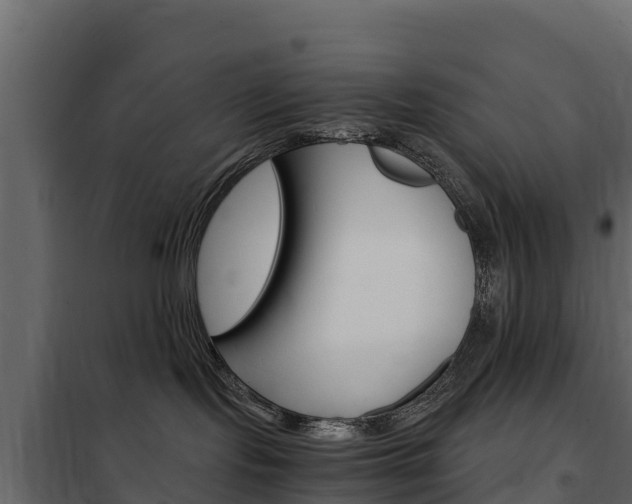 X0000102480095200808081043