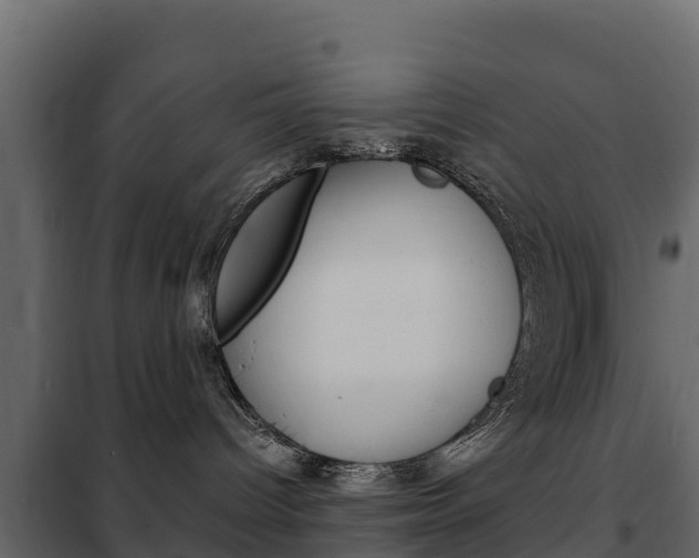 X0000102480096200808081043