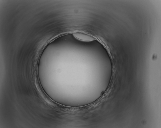 X0000102480097200808081042
