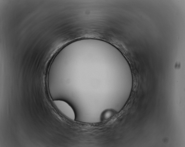 X0000102480098200808081042