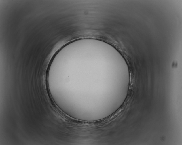 X0000102480099200808081042