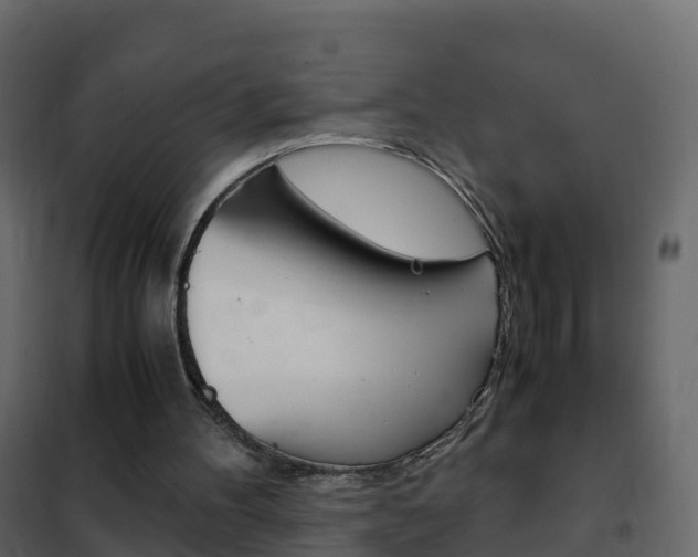 X0000102480100200808081042