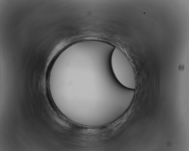 X0000102480102200808081042