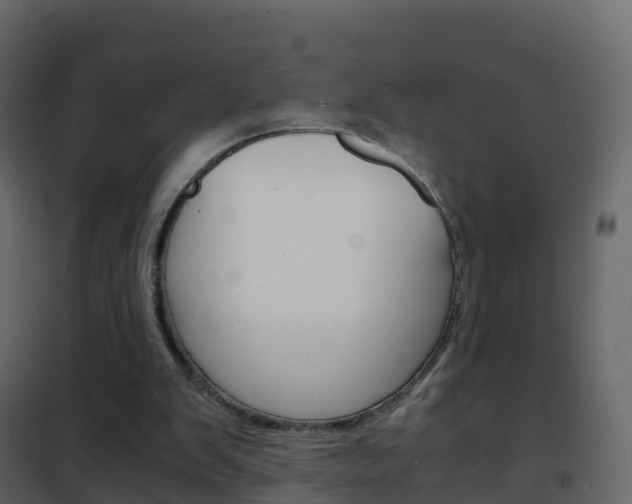 X0000102480103200808081042
