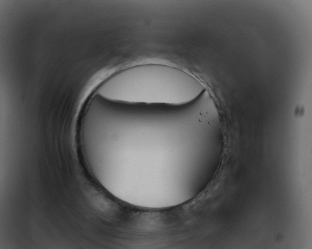 X0000102480104200808081042