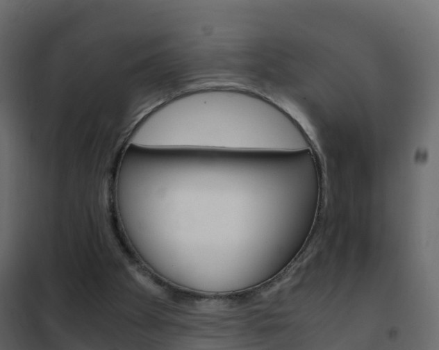 X0000102480105200808081042