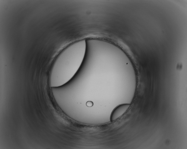 X0000102480106200808081042