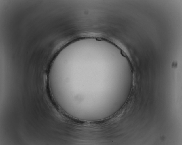 X0000102480109200808081042