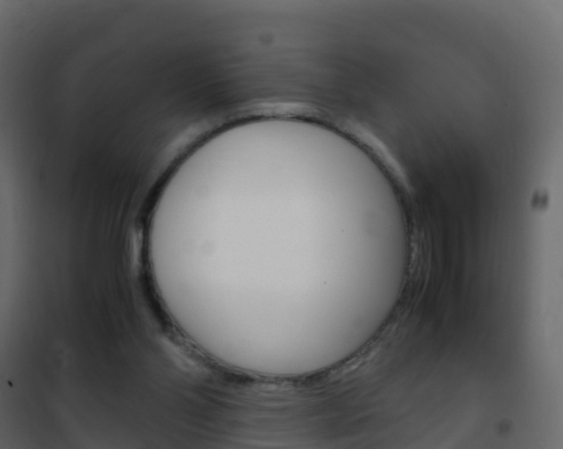 X0000102480110200808081042
