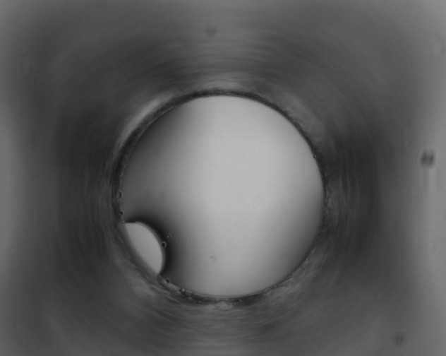 X0000102480112200808081042