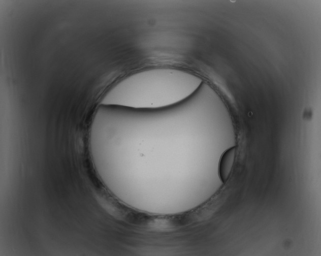 X0000102480114200808081042