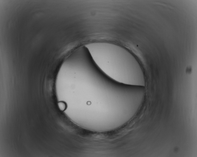 X0000102480115200808081042