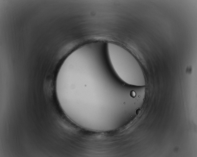 X0000102480116200808081042