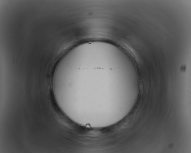 X0000102480119200808081042