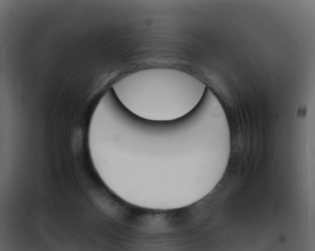 X0000102480120200808081042