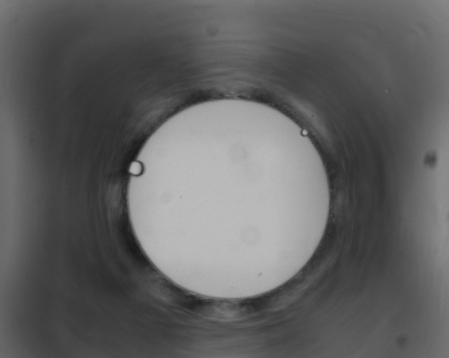 X0000102480121200808081042