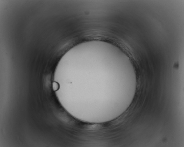 X0000102480122200808081042