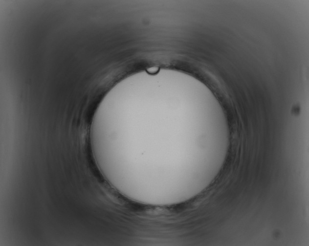 X0000102480125200808081042