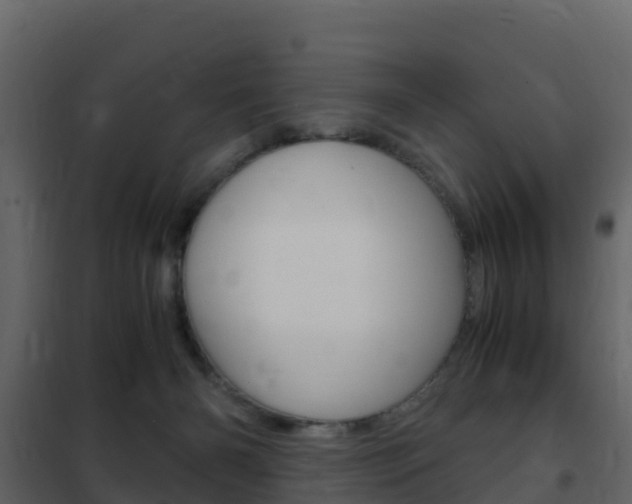 X0000102480126200808081042