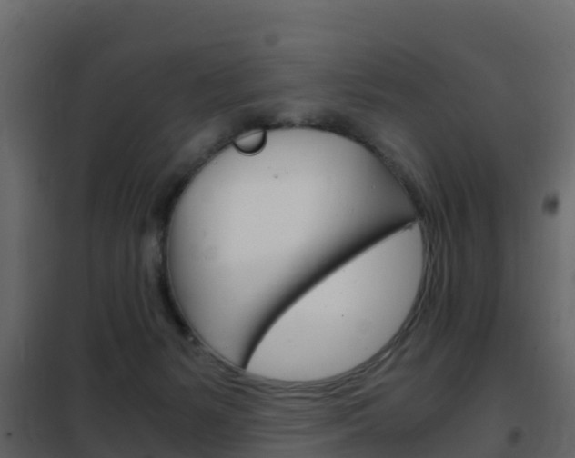 X0000102480127200808081042
