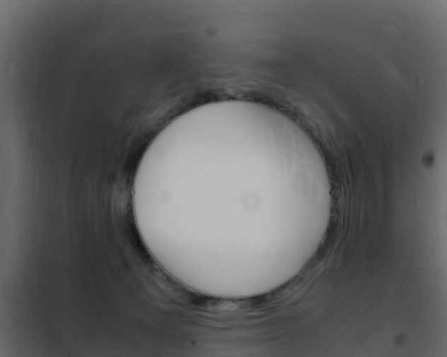 X0000102480129200808081042