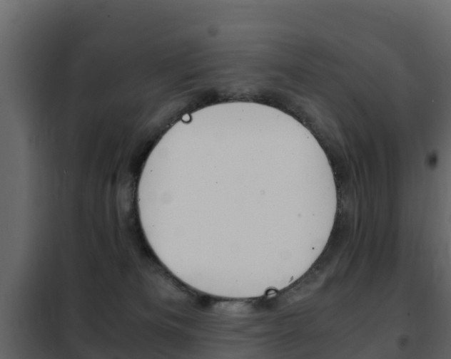 X0000102480133200808081041