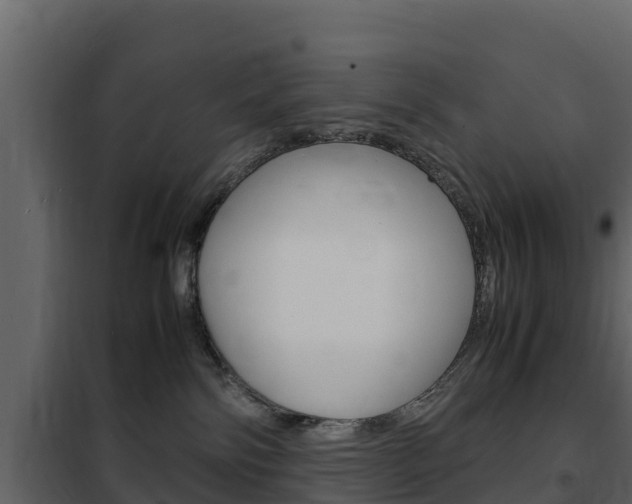 X0000102480138200808081041