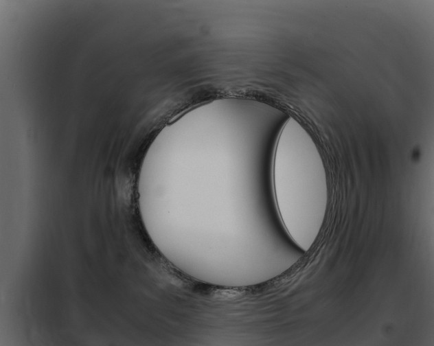 X0000102480139200808081041