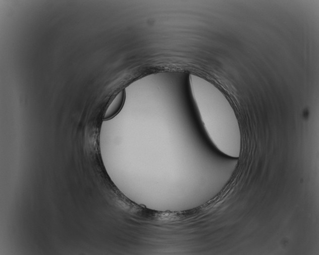 X0000102480141200808081041