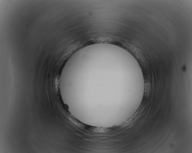 X0000102480142200808081041