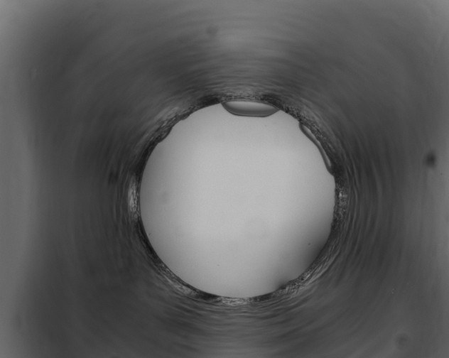 X0000102480143200808081041