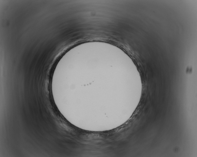 X0000102480146200808081040