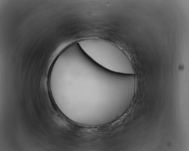 X0000102480147200808081040