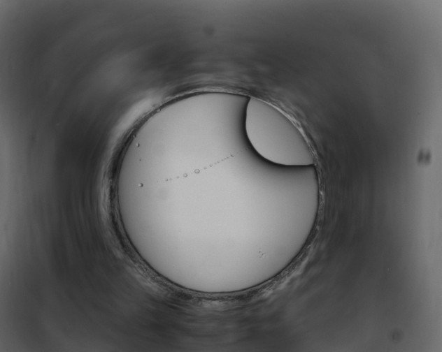 X0000102480149200808081041