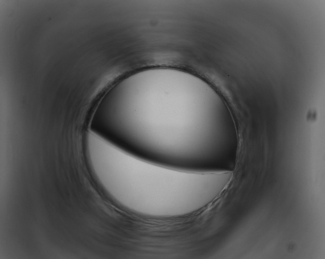X0000102480154200808081041