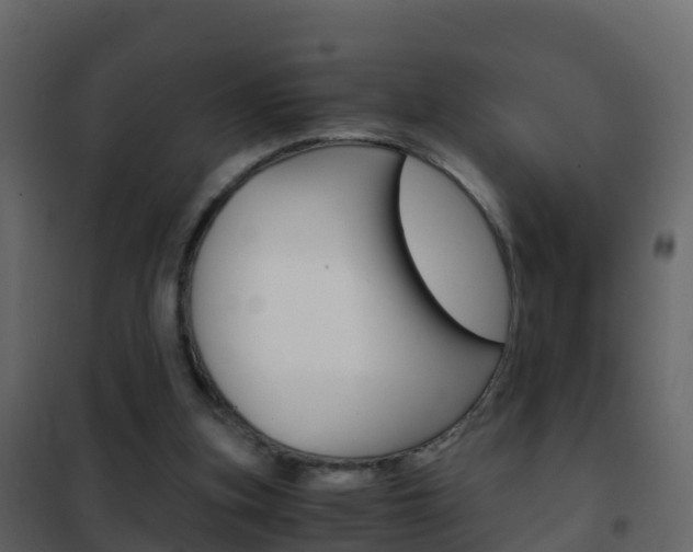 X0000102480155200808081041