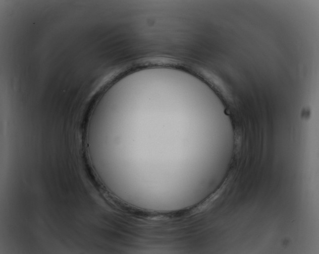 X0000102480158200808081041