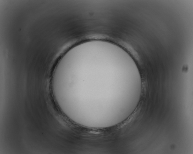 X0000102480159200808081041