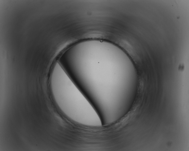 X0000102480160200808081041