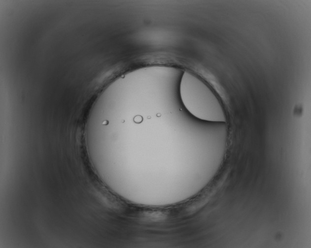 X0000102480161200808081041