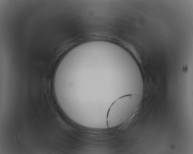 X0000102480162200808081041