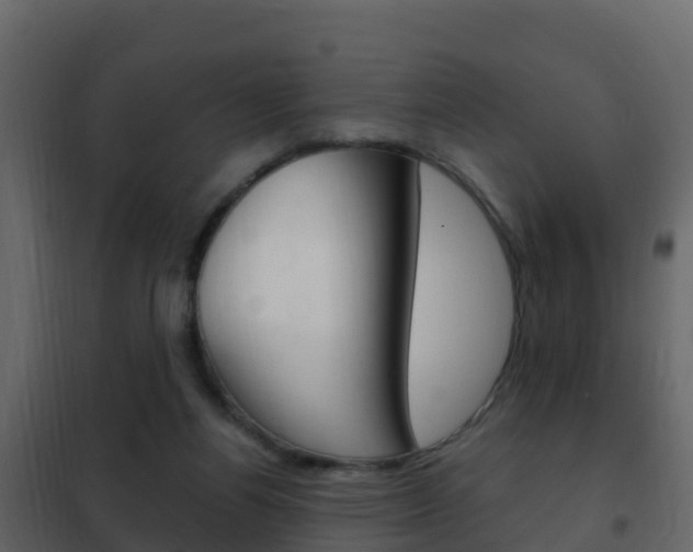 X0000102480164200808081041