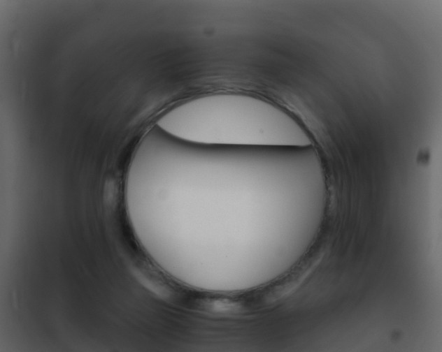 X0000102480165200808081041