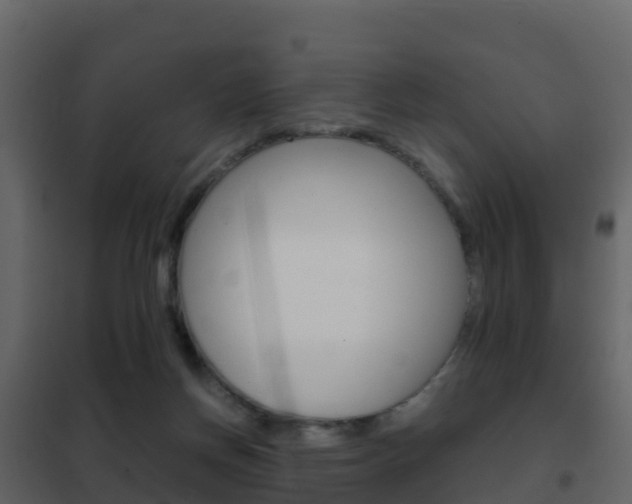 X0000102480166200808081041