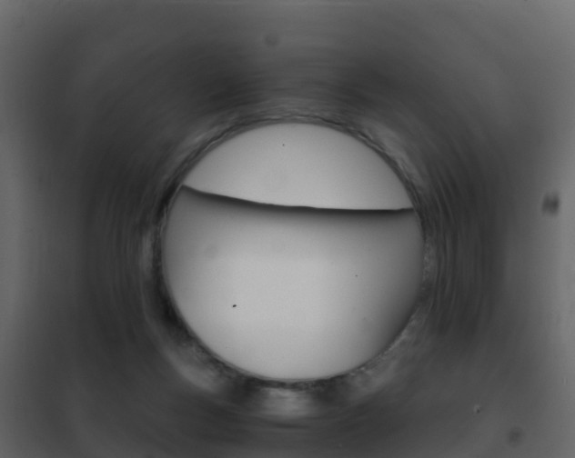 X0000102480167200808081041