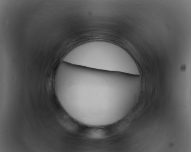 X0000102480169200808081041