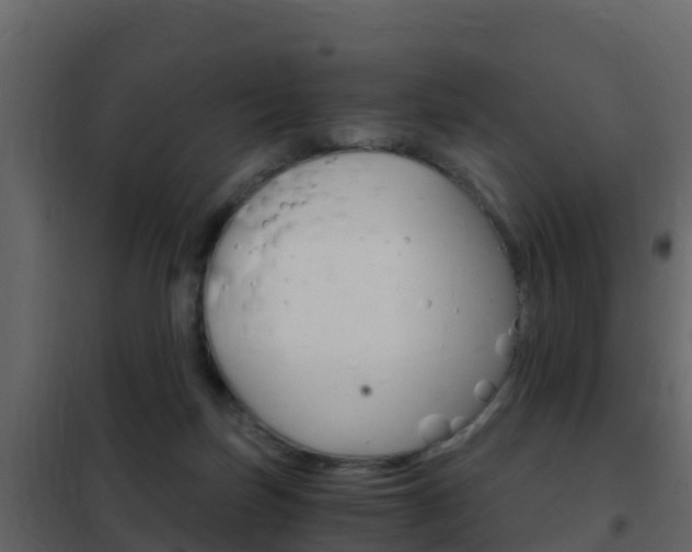 X0000102480171200808081041